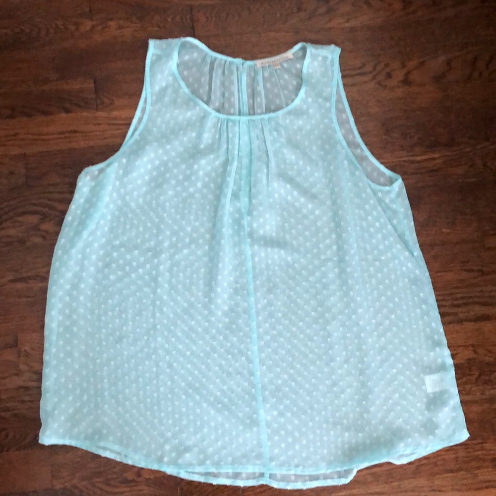 Brand new without tags sheer Daniel Rainn top